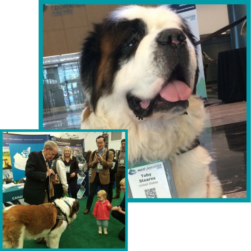 Dog Delegate