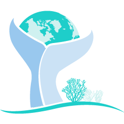 15th Meeting of the International Mesothelioma Interest Group