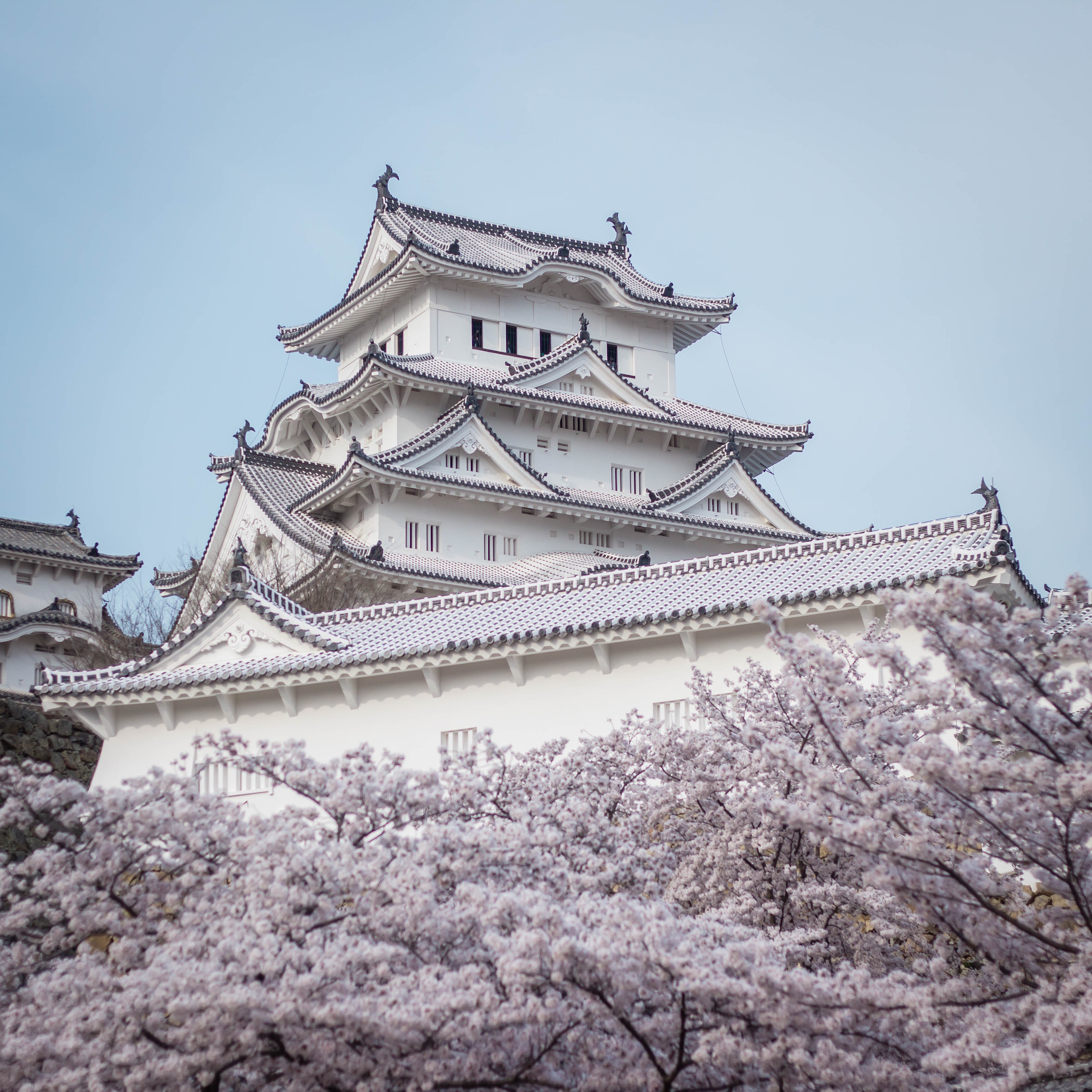 International Conference Services, Convention Visitor Bureaus, Japan Conference Management