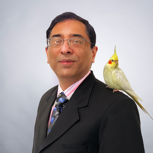 Arif Iqbal