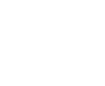 nns logo5